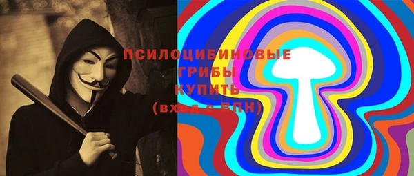 PSILOCYBIN Армянск