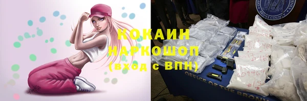твердый Арсеньев