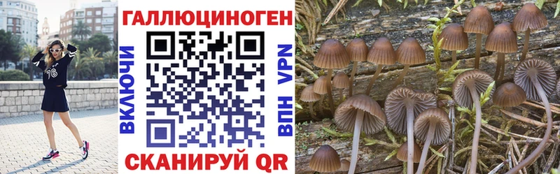 Псилоцибиновые грибы прущие грибы хочу Баймак